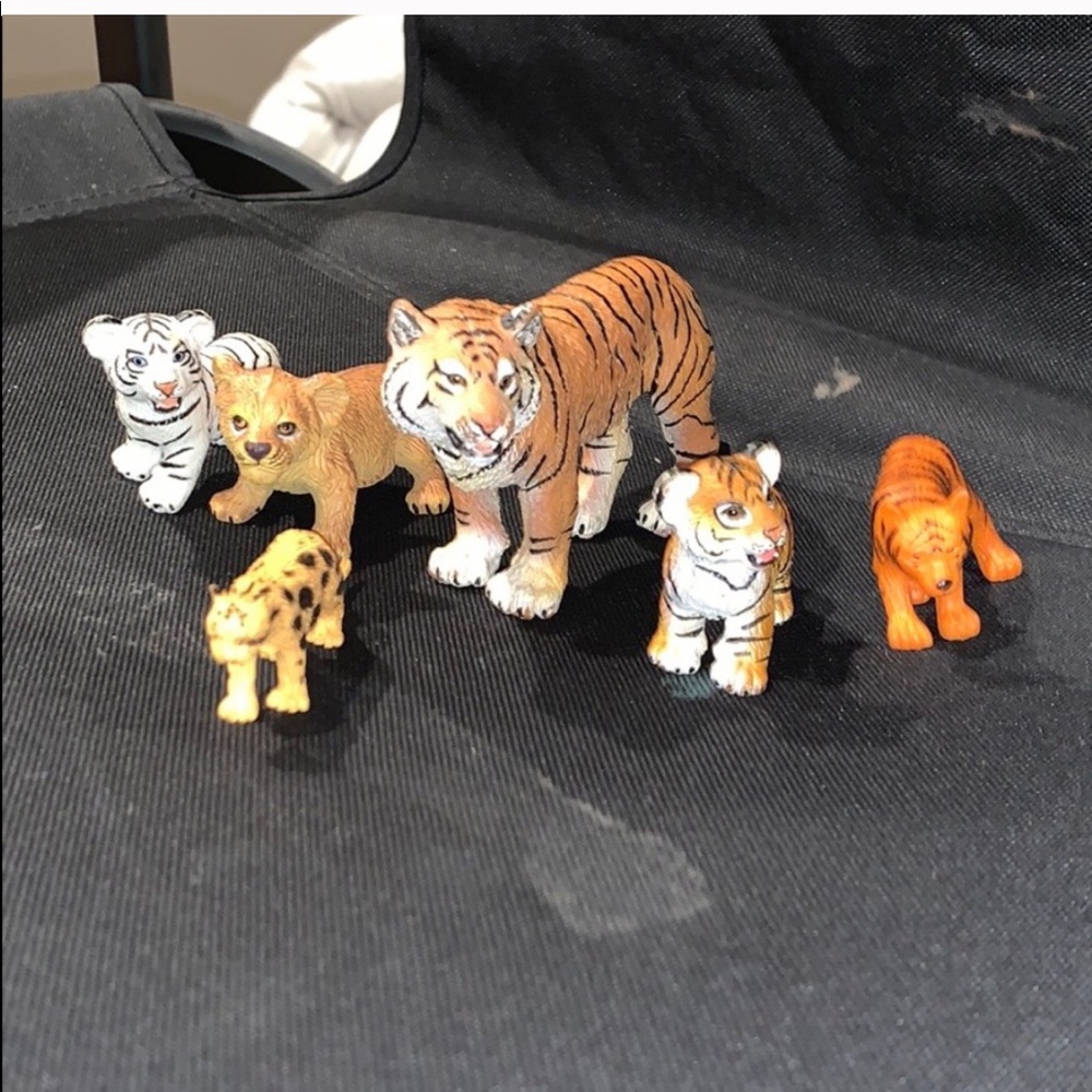 Tiger set for kids
